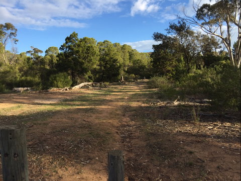 Victoria Park Moonta Monthly Walks - Accommodation Melbourne 2