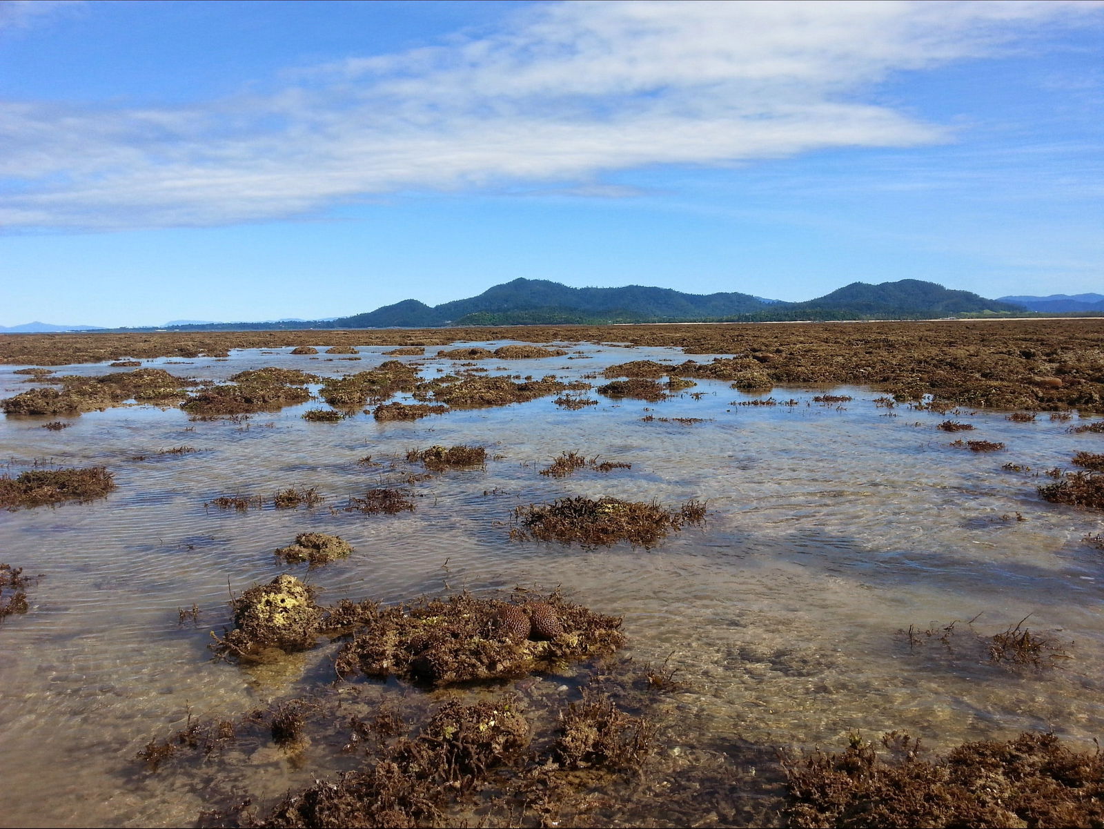 Kurrimine Beach QLD Accommodation Melbourne