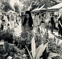 Yamba Farmers and Producers Market - Accommodation Melbourne