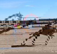 Bedourie Camel and Pig Races and Camp oven Cook-off - Accommodation Melbourne