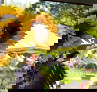 Blackville Arts and Market Day - Accommodation Melbourne