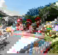 Burdekin Auto Festival - Accommodation Melbourne