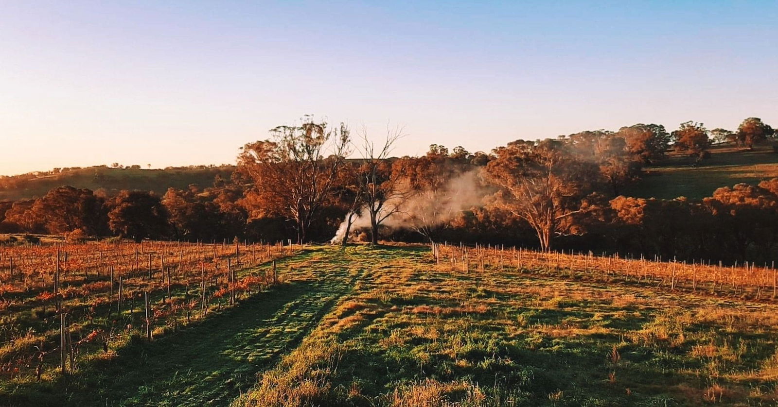 Lidster NSW Accommodation Melbourne