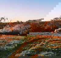 Cargo Road Wines Grande Fiamma - Accommodation Melbourne