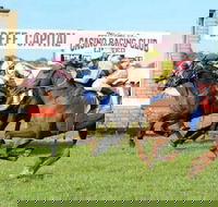 Casino Cup - Accommodation Melbourne