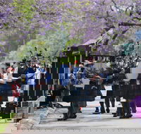 Celtic Festival of Queensland - Accommodation Melbourne