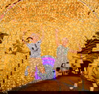 Christmas Lights Spectacular New Year's Eve at Hunter Valley Gardens - Accommodation Melbourne