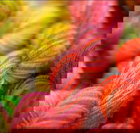 Creative Fibre - Accommodation Melbourne