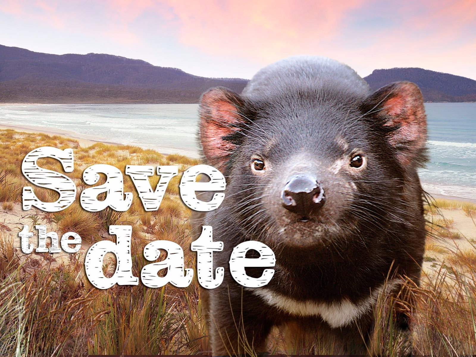 Gardners Bay TAS Accommodation Melbourne