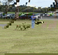 Dean Sheepdog Trials - Old Sniff Classic - Accommodation Melbourne