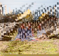 Family Picnic Weekend - Accommodation Melbourne