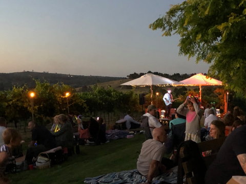 Fireside Pig And Pinot At Contentious Character - Accommodation Melbourne 2