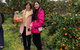 Fruit Taste Adventure Tours - thumb 0