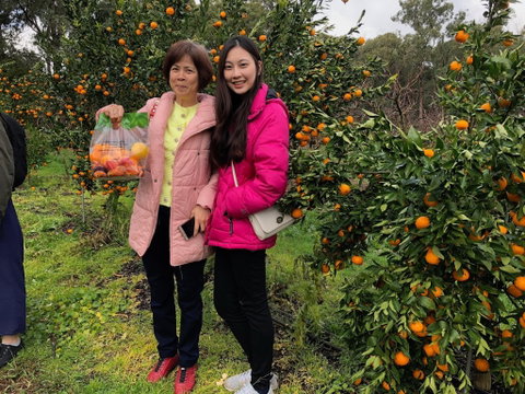 Fruit Taste Adventure Tours - Accommodation Melbourne 0
