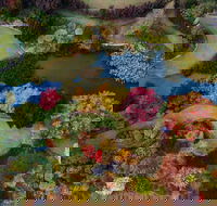 Glenrock Gardens Open Garden - Accommodation Melbourne
