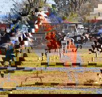 Glen Innes Pastoral and Agricultural Show - Accommodation Melbourne