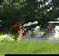 High Country Writers Festival - Accommodation Melbourne