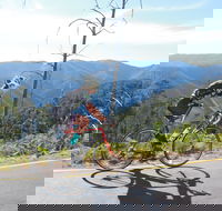 High Country Women's Cycling Festival - Accommodation Melbourne