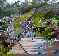 Husky Half Running Festival - Accommodation Melbourne