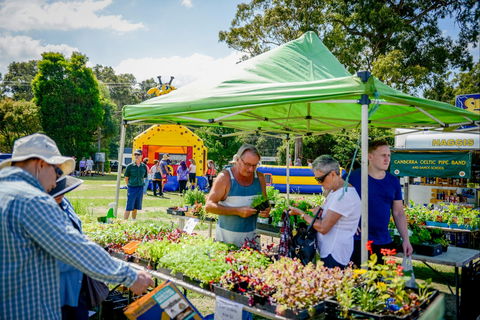 Huskisson Market - Accommodation Melbourne 0