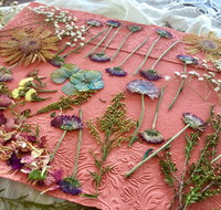 Introduction to Paper Making - Accommodation Melbourne