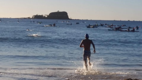 Island Charity Swim - Accommodation Melbourne 1