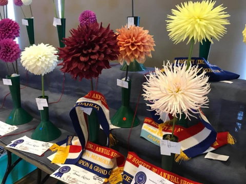 Kiama Show - Accommodation Melbourne 2