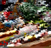 Manjimup Farmers Market - Melbourne 4u