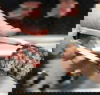 Meat BBQ Cooking Class - Accommodation Melbourne