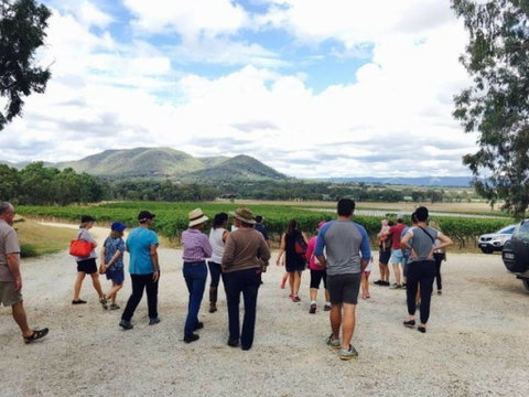 Mudgee Farm Walks - Accommodation Melbourne 1