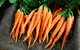 Mudgee Farm Walks - thumb 2