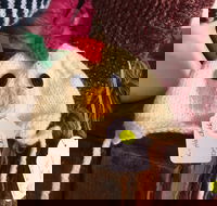 Murrindindi Beanie  Fibre Festival Online - Melbourne 4u