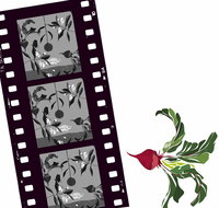 Oseanica Film Project - Accommodation Melbourne