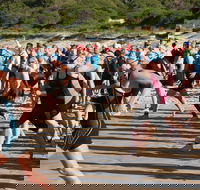 Port Stephens Triathlon Festival - Accommodation Melbourne