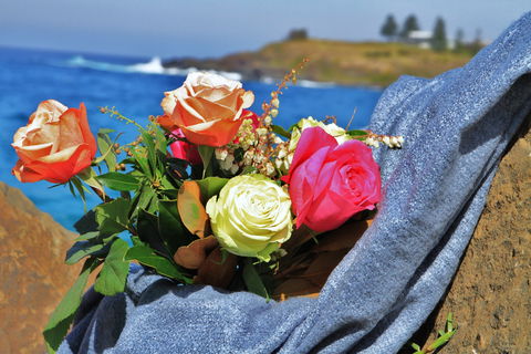 Roses By The Seaside: National Rose Championships And Conference - Accommodation Melbourne 0