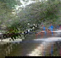 The Man From Snowy River Bush Festival - Accommodation Melbourne