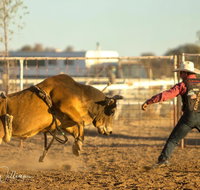 Walgett Charity Bushman's Carnival Rodeo and Campdraft - Accommodation Melbourne