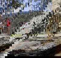 Wollombi Wild Ride Mountain Bike Ride - Accommodation Melbourne