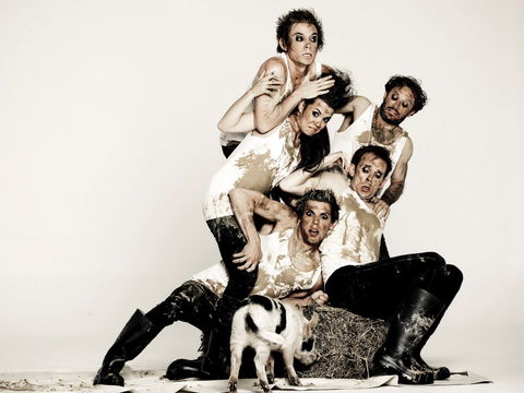 Animal Farm - Launceston - Accommodation Melbourne 0