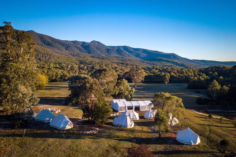 A Wild Night Out - Spring - Accommodation Melbourne 5