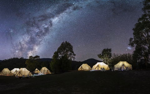 A Wild Night Out - Spring - Accommodation Melbourne 6