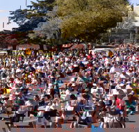 Bathurst Edgell Jog - Melbourne 4u