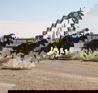 Bedourie Races and Rodeo - Accommodation Melbourne