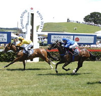 Bong Bong Picnic Races - Accommodation Melbourne