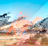 Boulia Camel Races - Accommodation Melbourne