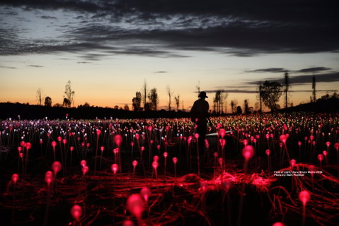 Field Of Light Uluru - Accommodation Melbourne 0