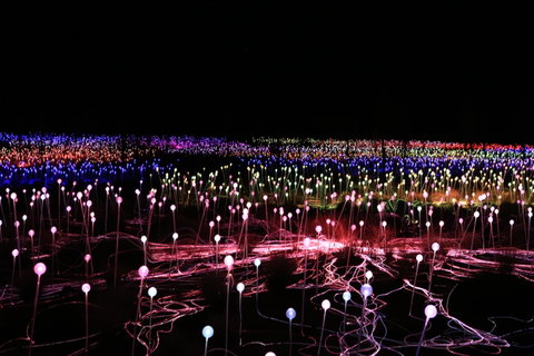 Field Of Light Uluru - Accommodation Melbourne 2