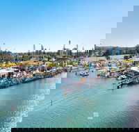 Fred Williams Aquatic Festival - Accommodation Melbourne