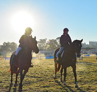 Gunnedah Showjumping Festival - Accommodation Melbourne