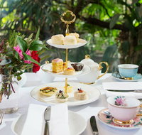 High Tea at Melbourne Zoo - Accommodation Melbourne